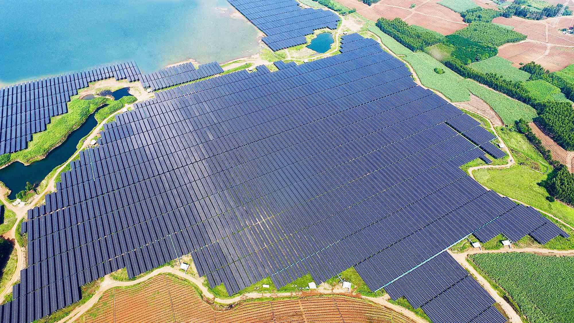 再添殊榮!華躍電力遂溪官田光伏電站項目榮獲“2025年度廣東優質安裝工程獎”